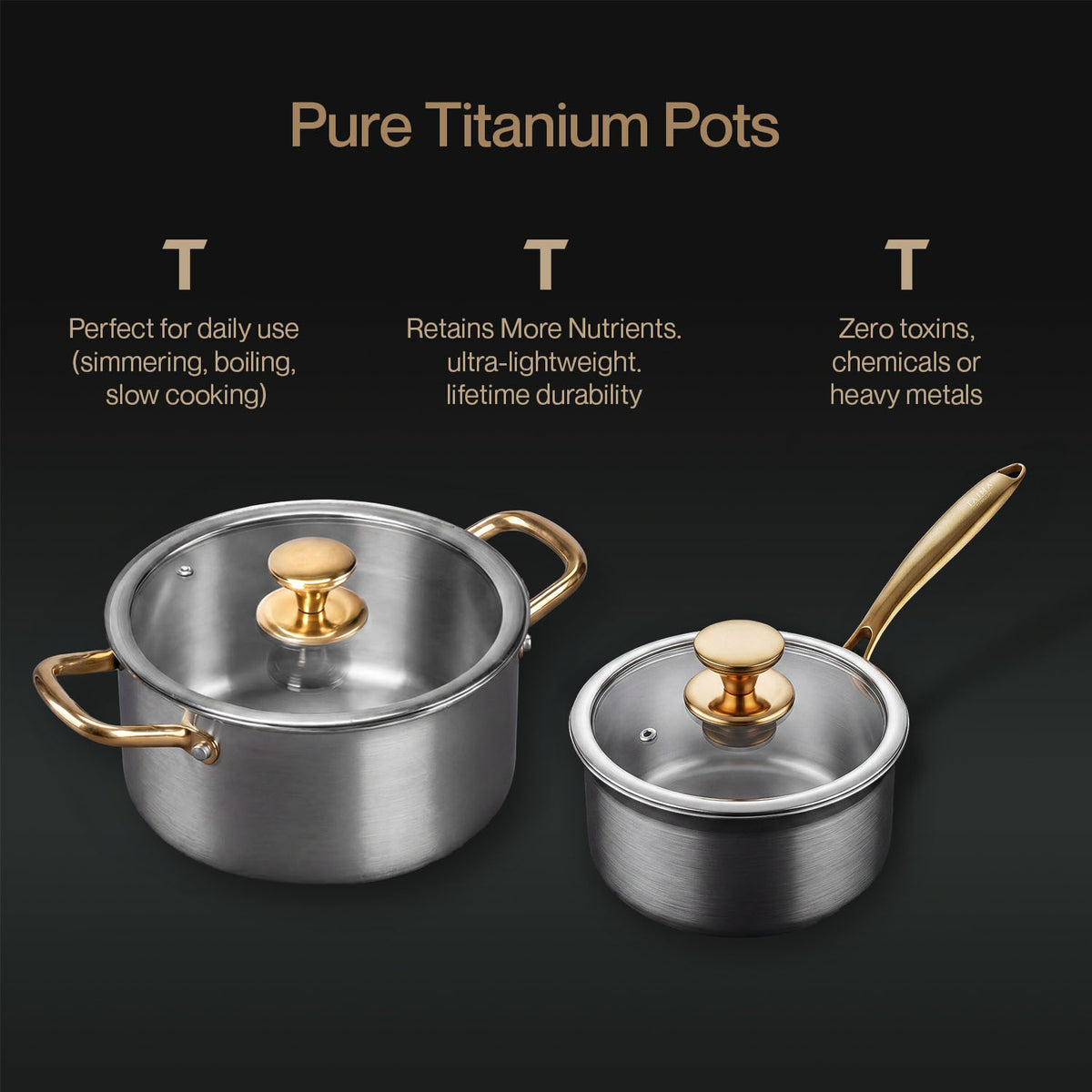 Taima Titanium Nutri Pot Pro